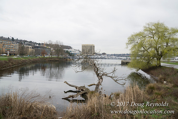 Lake Union Park