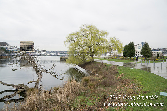 Lake Union Park