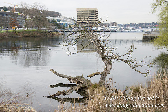 Lake Union Park