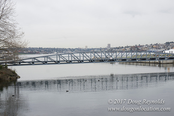 Lake Union Park