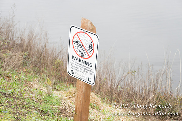 Lake Union Park