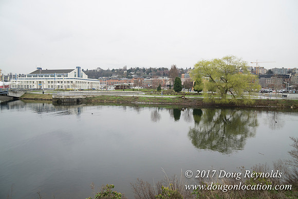 Lake Union Park