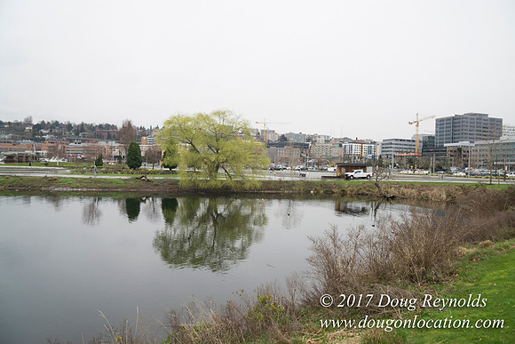 Lake Union Park