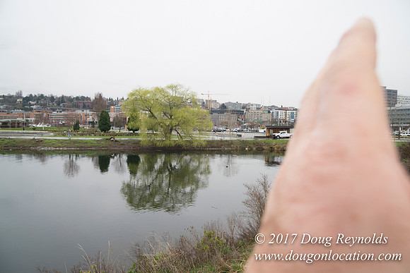 Lake Union Park