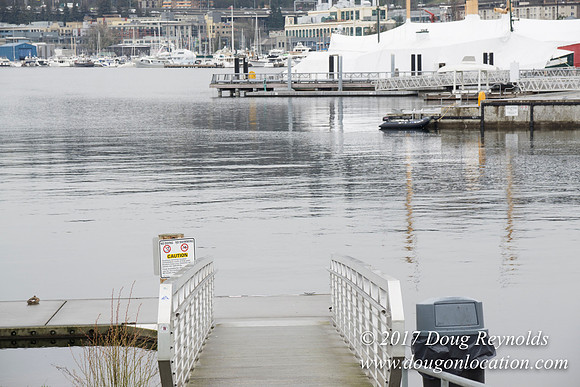 Lake Union Park