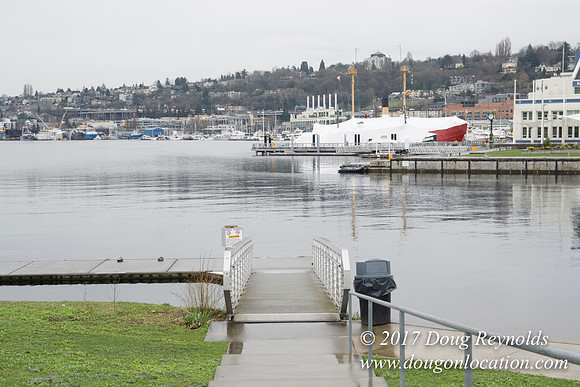 Lake Union Park