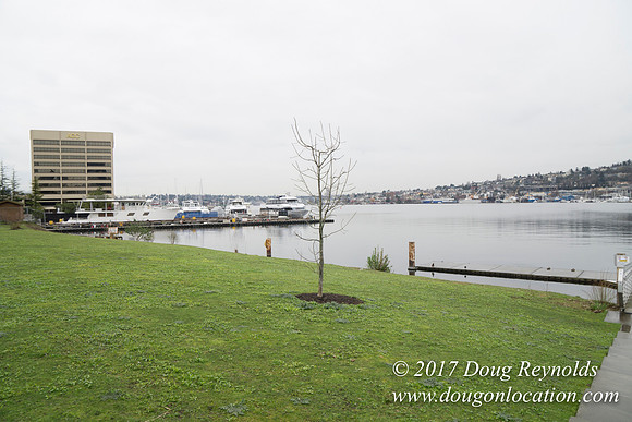 Lake Union Park
