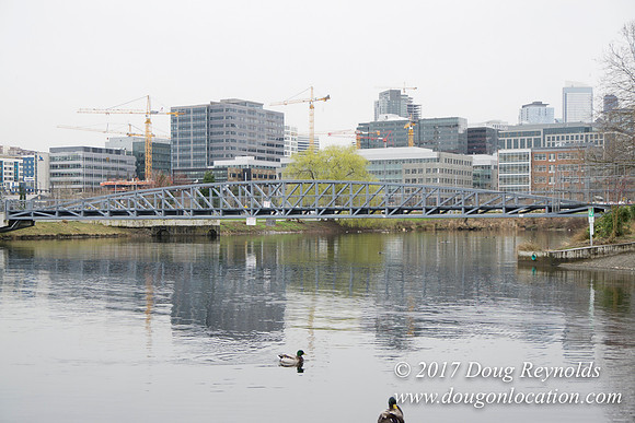Lake Union Park