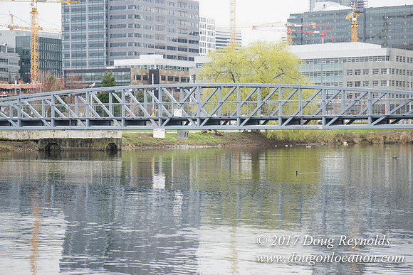 Lake Union Park