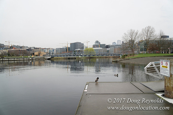 Lake Union Park