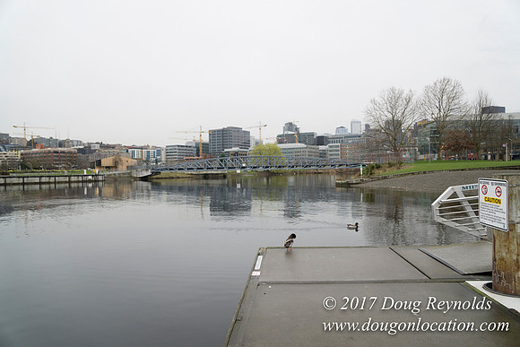 Lake Union Park