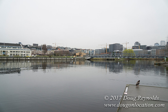 Lake Union Park
