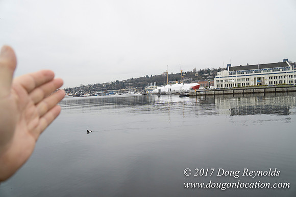 Lake Union Park