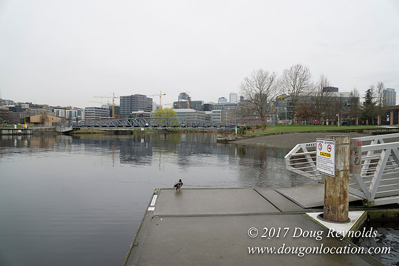 Lake Union Park