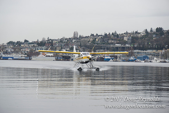 Lake Union Park