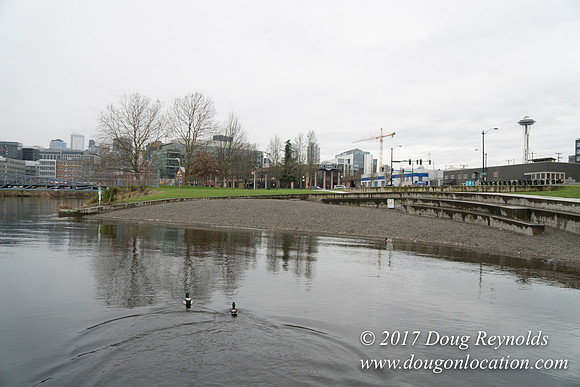 Lake Union Park