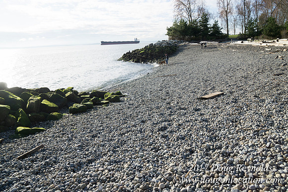 Myrtle Edwards Park