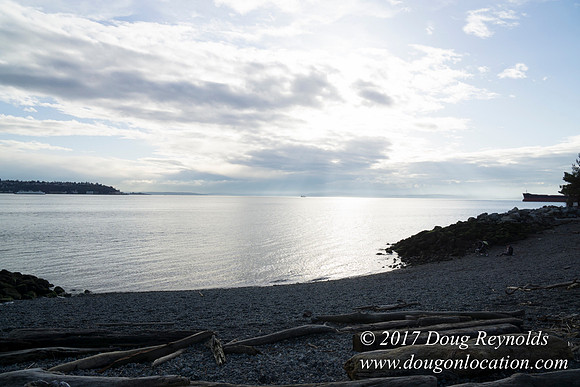 Myrtle Edwards Park