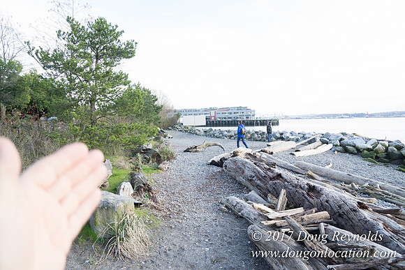 Myrtle Edwards Park