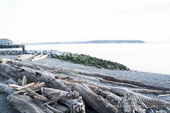 Myrtle Edwards Park