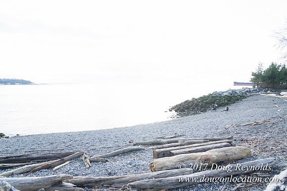 Myrtle Edwards Park