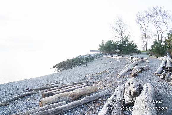 Myrtle Edwards Park