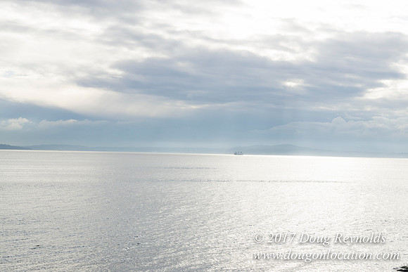 Myrtle Edwards Park