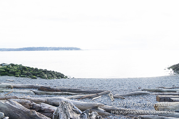 Myrtle Edwards Park