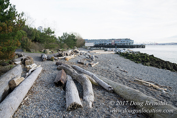 Myrtle Edwards Park