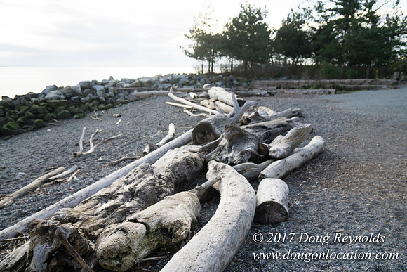 Myrtle Edwards Park