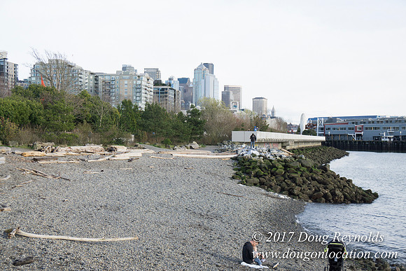 Myrtle Edwards Park