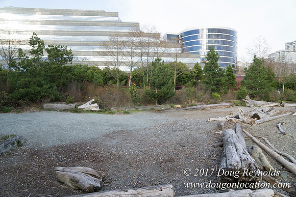 Myrtle Edwards Park