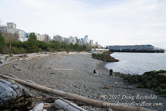 Myrtle Edwards Park