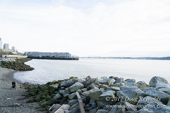 Myrtle Edwards Park