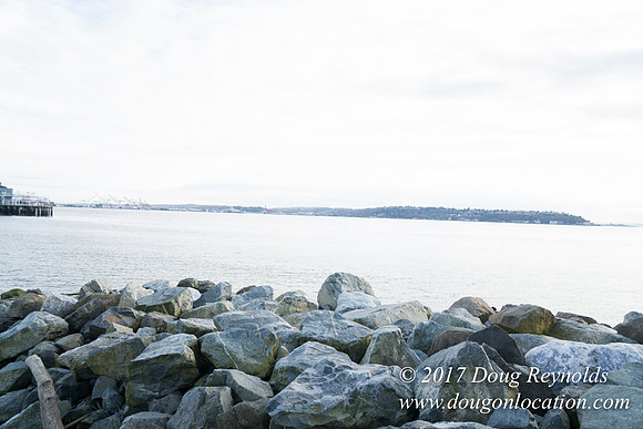 Myrtle Edwards Park