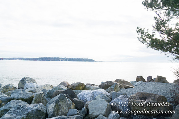 Myrtle Edwards Park