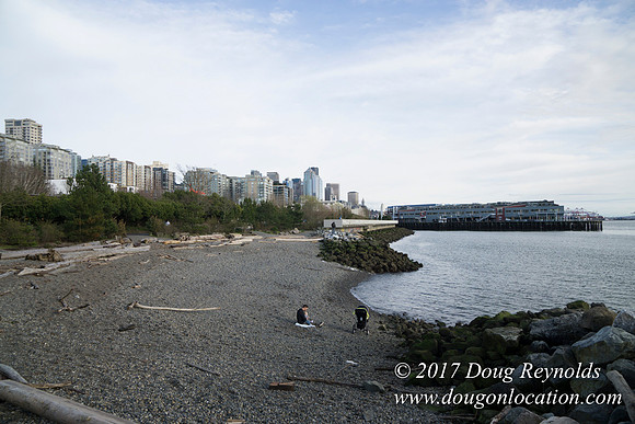 Myrtle Edwards Park