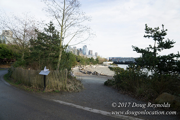 Myrtle Edwards Park