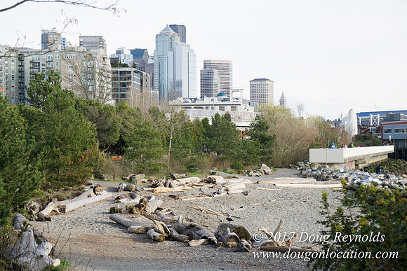 Myrtle Edwards Park