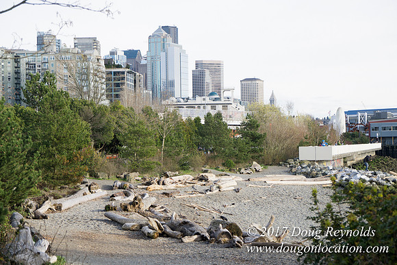 Myrtle Edwards Park