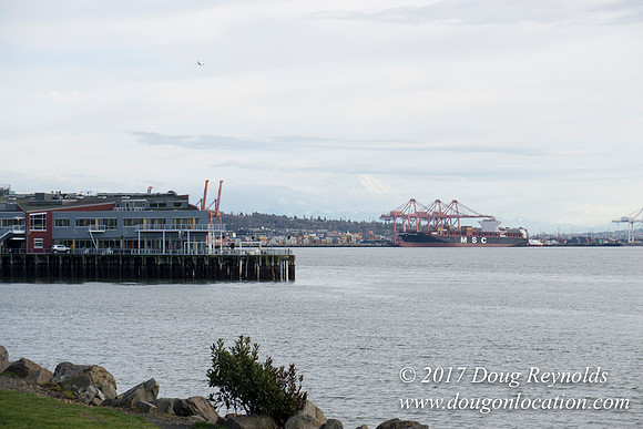 Myrtle Edwards Park