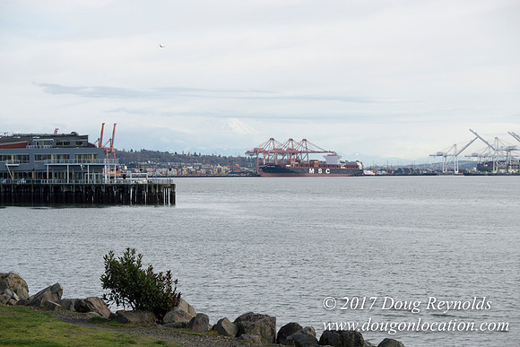 Myrtle Edwards Park