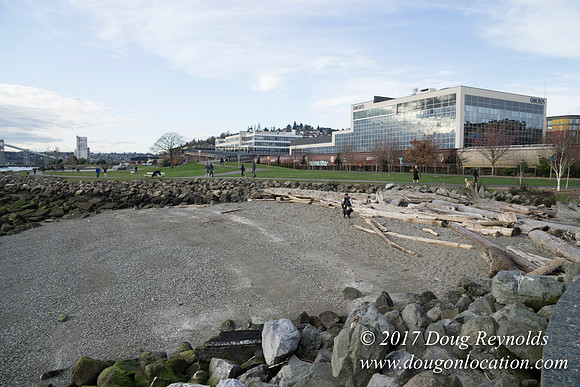 Myrtle Edwards Park