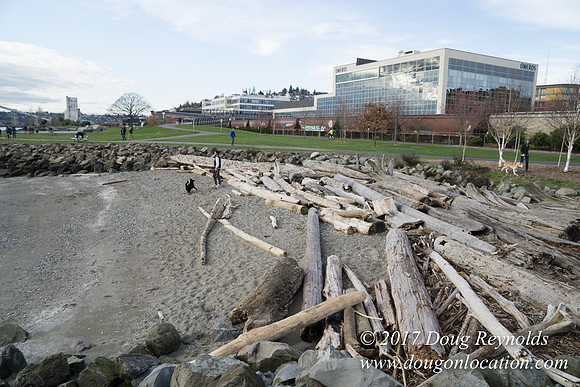 Myrtle Edwards Park