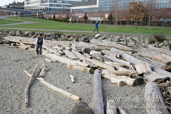 Myrtle Edwards Park