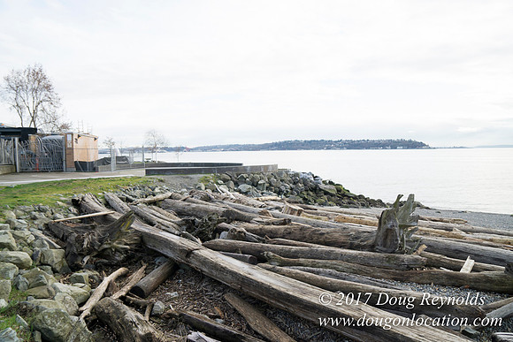 Myrtle Edwards Park