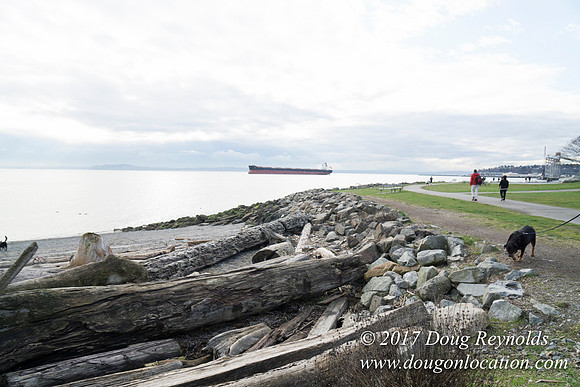 Myrtle Edwards Park