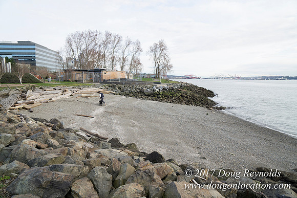 Myrtle Edwards Park