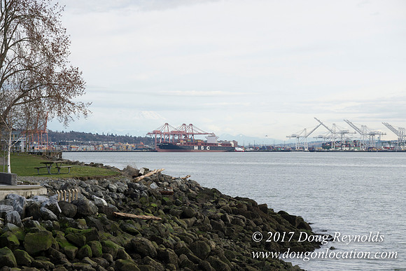 Myrtle Edwards Park