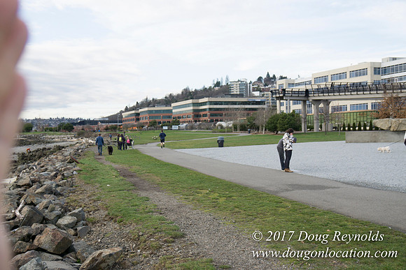 Myrtle Edwards Park